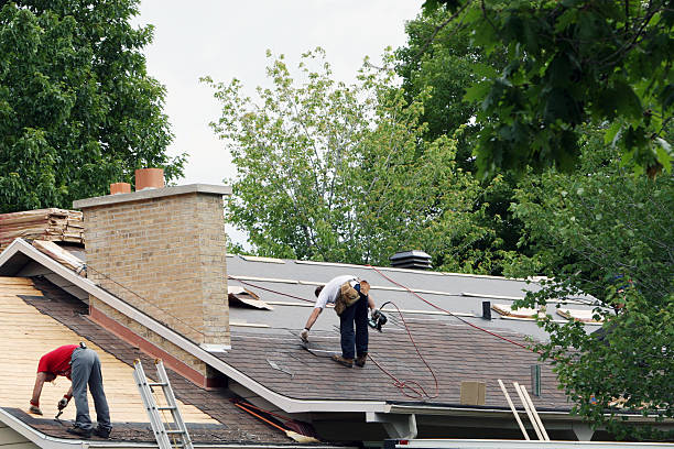 Best Metal Roofing Contractor  in Pekin, IL